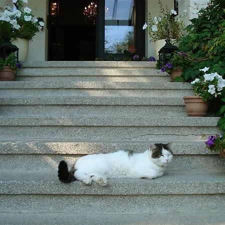 Gutshaus Kubbelkow 호텔 4*