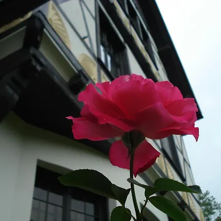 Gutshaus Kubbelkow Bergen Auf Rugen