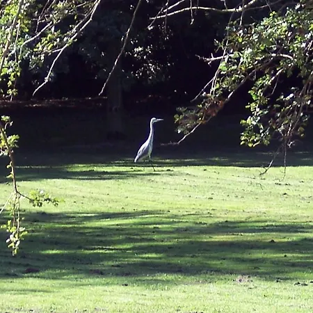 Gutshaus Kubbelkow 4* Bergen Auf Rugen
